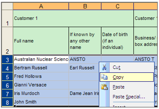 Copy option in Excel spreadsheet