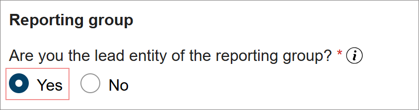 This screen is where you can answer ‘yes’ or ‘no’ if you are a member of a reporting group. 